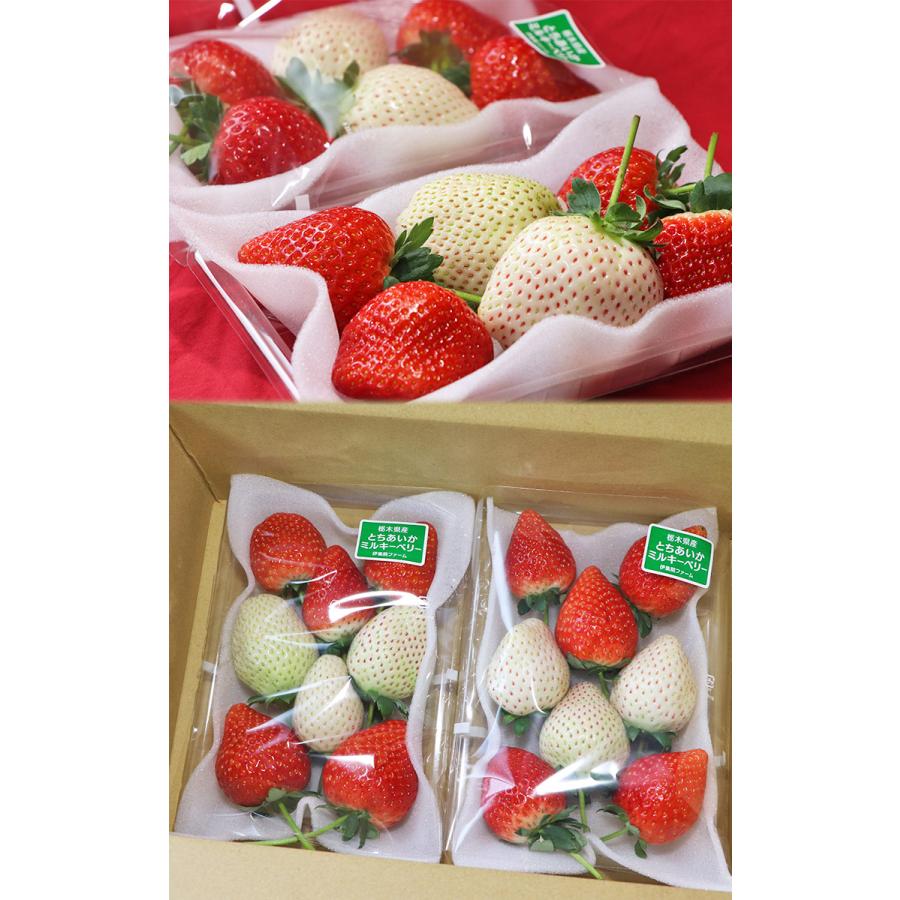 紅白いちごセット とちあいか・ミルキーベリー 約280g×2パック入り