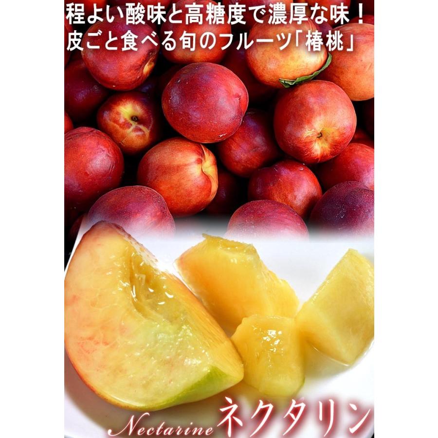 ネクタリン 約1.6kg 6〜12玉入り 山梨県・長野県産 贈答規格 爽やかな酸味と豊かな甘さ!栄養豊富な夏のフルーツ 桃 専用です。ネクタリン秀峰16玉クール