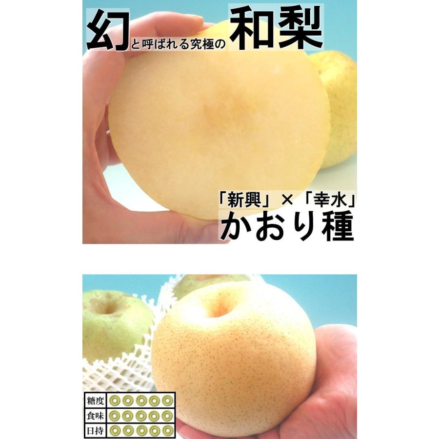 かおり梨 約5kg 5〜10玉 大玉サイズ 秀品〜優品 千葉県産 贈答可能