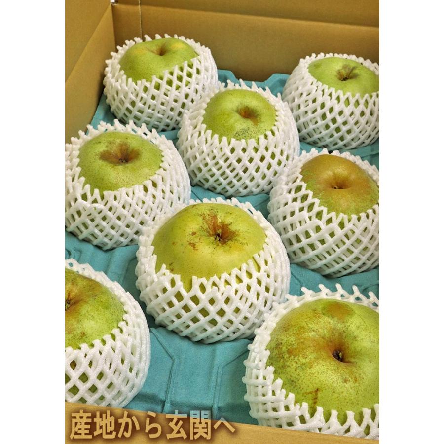 かおり梨 約5kg 5〜10玉 大玉サイズ 秀品〜優品 千葉県産 贈答可能