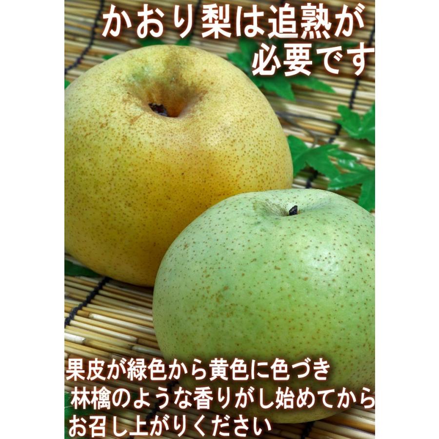 かおり梨 約5kg 5〜10玉 大玉サイズ 秀品〜優品 千葉県産 贈答可能