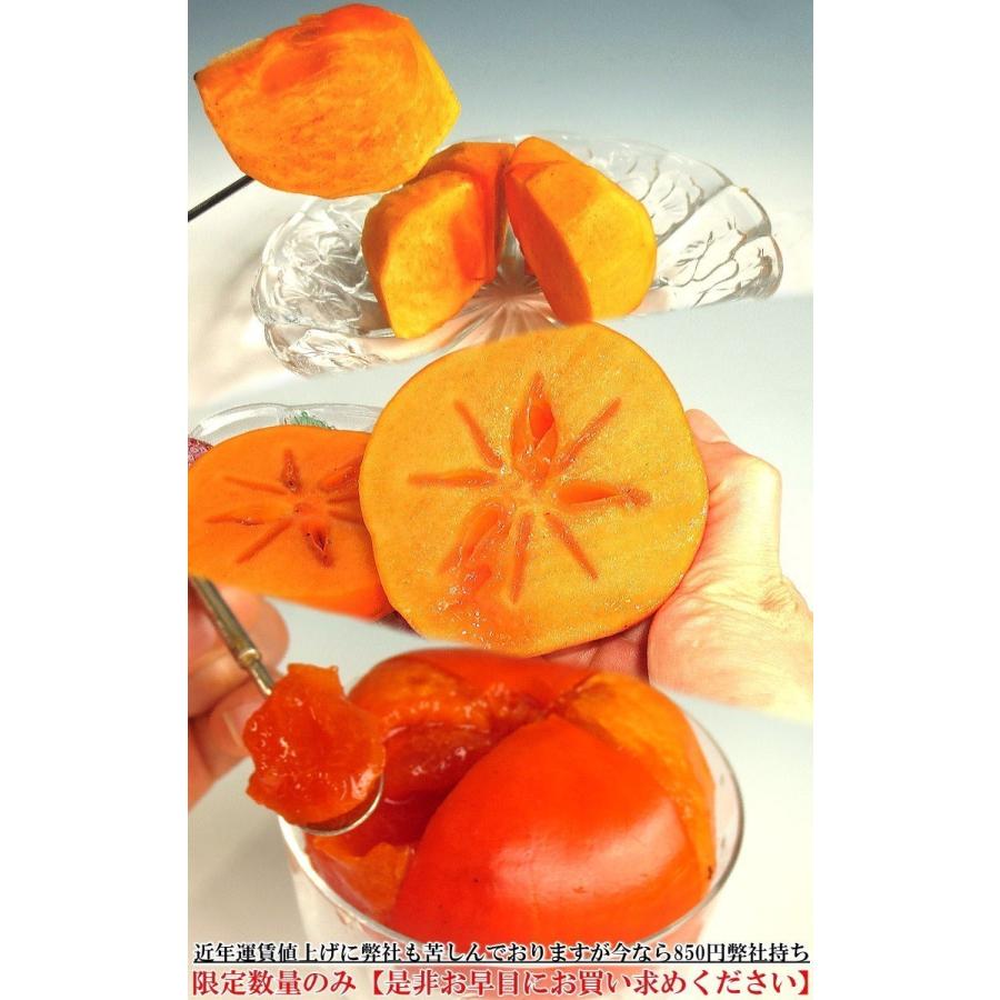 格安　カトラン〔柿のある静物〕額外面 60㎝×80㎝（絵の大きさ） リトグラフ版画 ベルナール・カトラン 柿のある静物 商品番号567