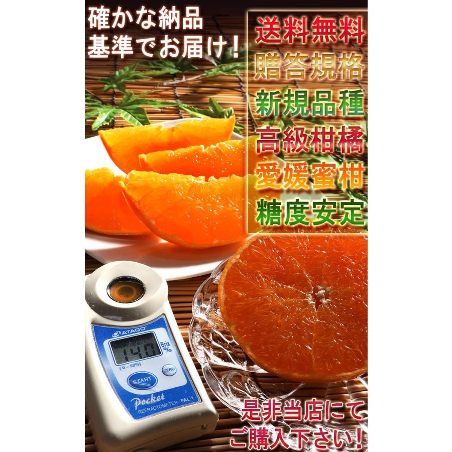 せとか 約5kg M〜4Lサイズ 贈答規格 愛媛県産 甘みと果汁豊かな高級