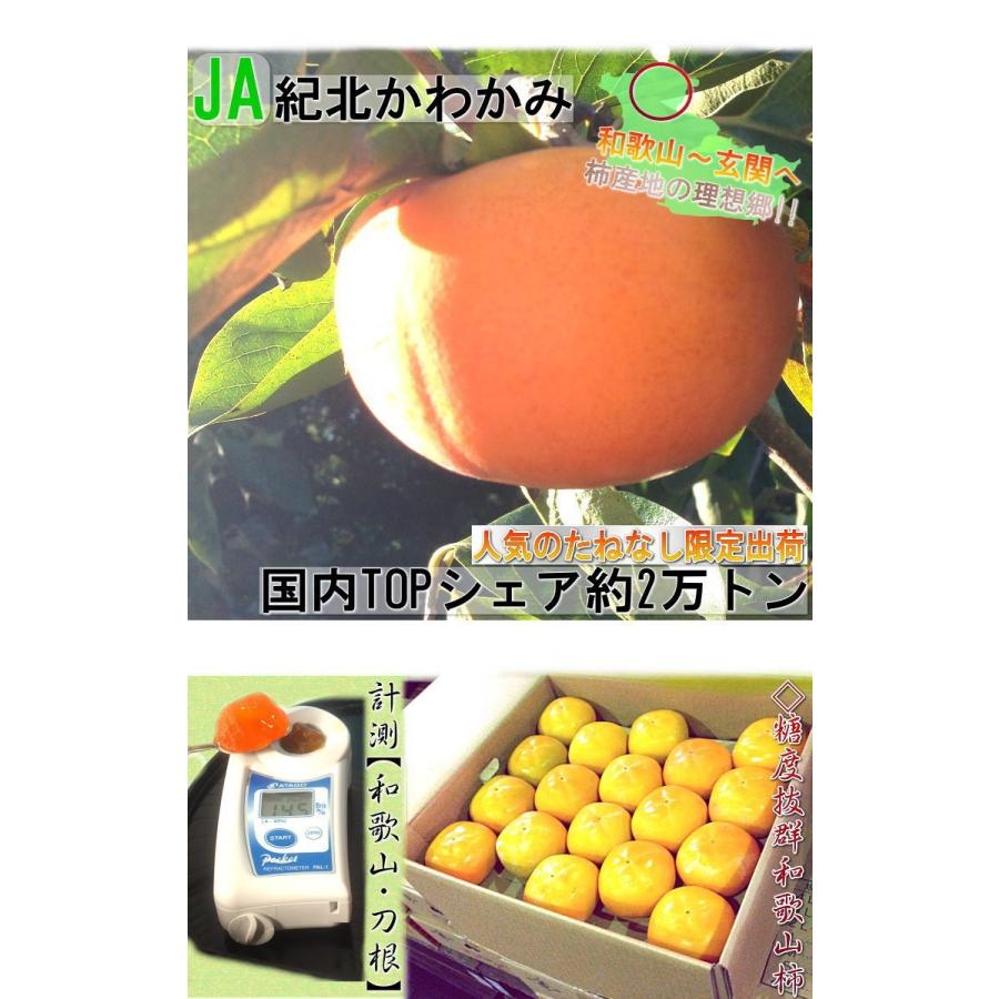 再入荷/予約販売! 産地直送 たねなし柿 約7.5kg 35〜45玉 和歌山県産 刀根柿ギフトフルーツ 秀品 贈答規格 JA紀北かわかみ 渋抜きずみの平核無柿 柿 産地直送 たねなし柿 約7.5kg 35〜45玉 和歌山県産 贈答規格 JA紀北かわかみ 秀品 渋抜きずみの平核無柿 刀根柿ギフトフルーツ