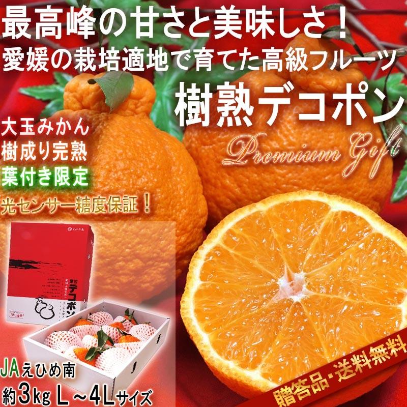 樹上完熟デコポン 葉付き不知火 約3kg L〜4Lサイズ 愛媛県産 樹上完熟デコポン 葉付き不知火 約3kg L〜4Lサイズ 愛媛県産