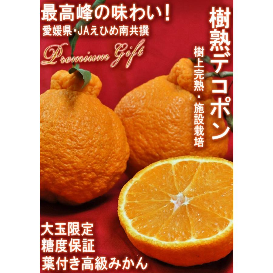 樹上完熟デコポン 葉付き不知火 約3kg L〜4Lサイズ 愛媛県産 樹上完熟デコポン 葉付き不知火 約3kg L〜4Lサイズ 愛媛県産