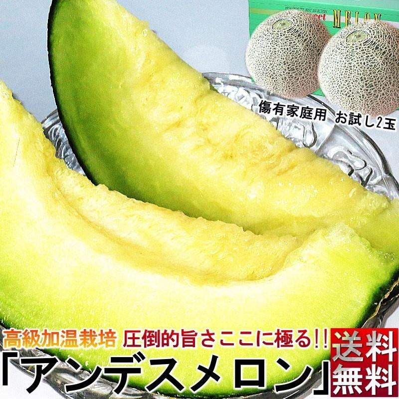 青肉メロン 2 3玉 訳あり 家庭用 茨城 熊本県産中心 アンデス タカミ キスミー等 露地栽培 旬の味わいをお届け