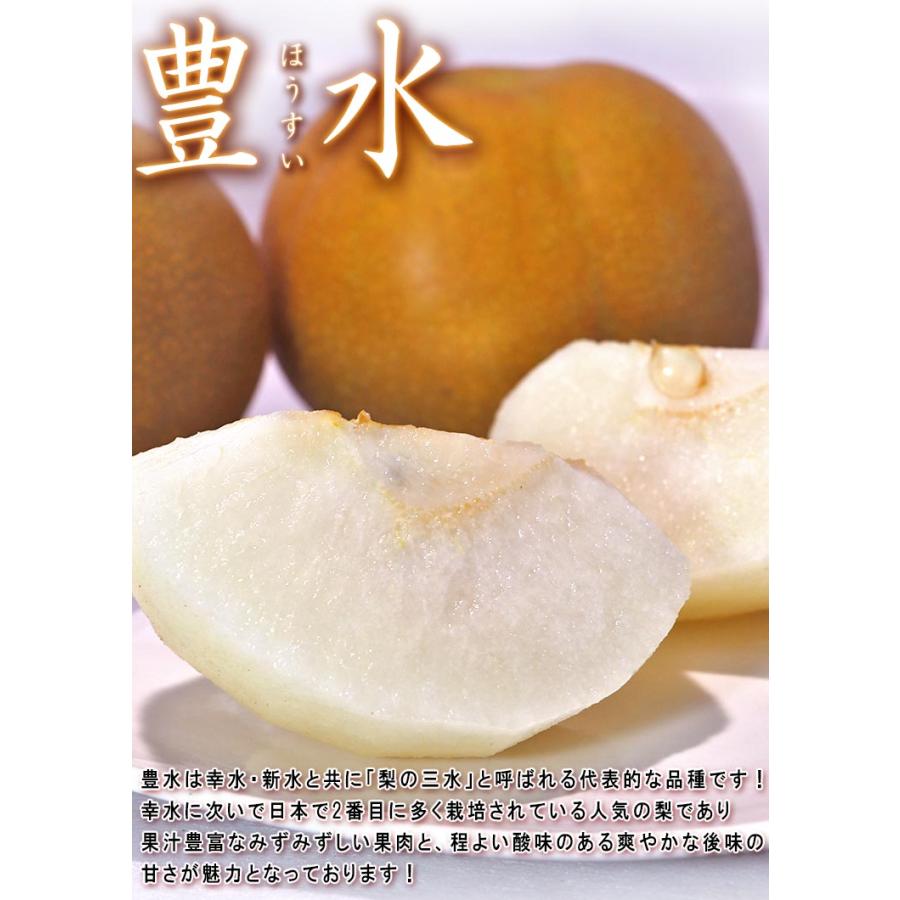 豊水 和梨 約5kg 9〜14玉前後 千葉県産 贈答規格 大玉限定 秀品〜優品