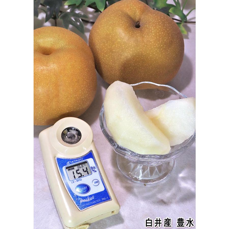 豊水 和梨 約5kg 9〜14玉前後 千葉県産 贈答規格 大玉限定 秀品〜優品