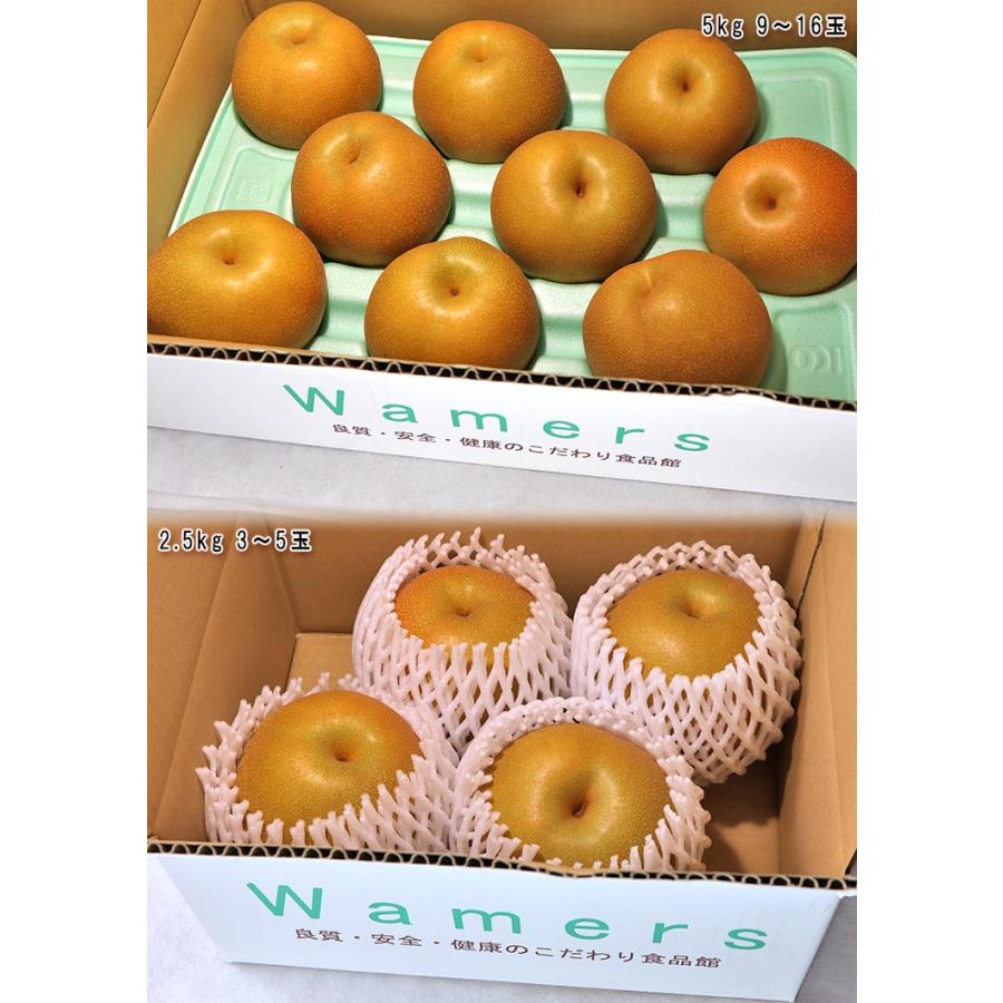 豊水 和梨 約5kg 9〜14玉前後 千葉県産 贈答規格 大玉限定 秀品〜優品