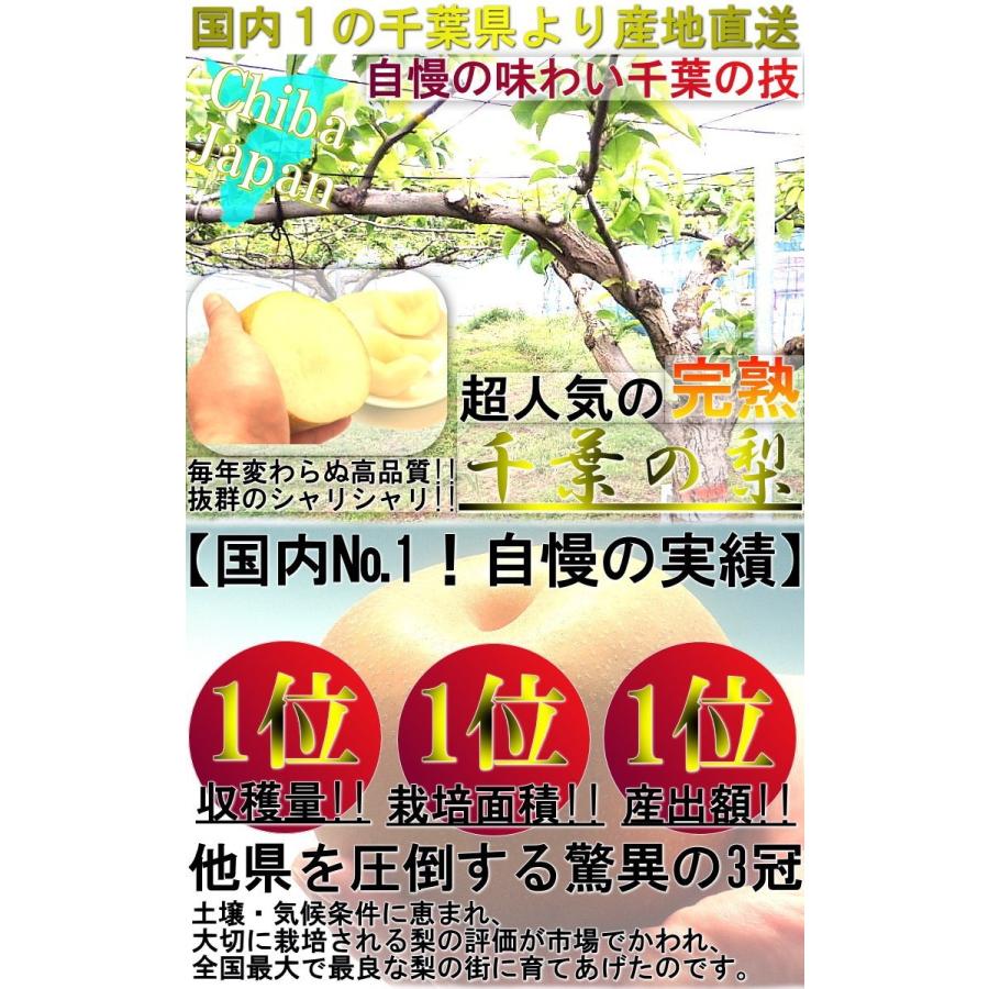 幸水 和梨 約10kg 16〜34玉 千葉県産 贈答規格 大玉中心 秀品