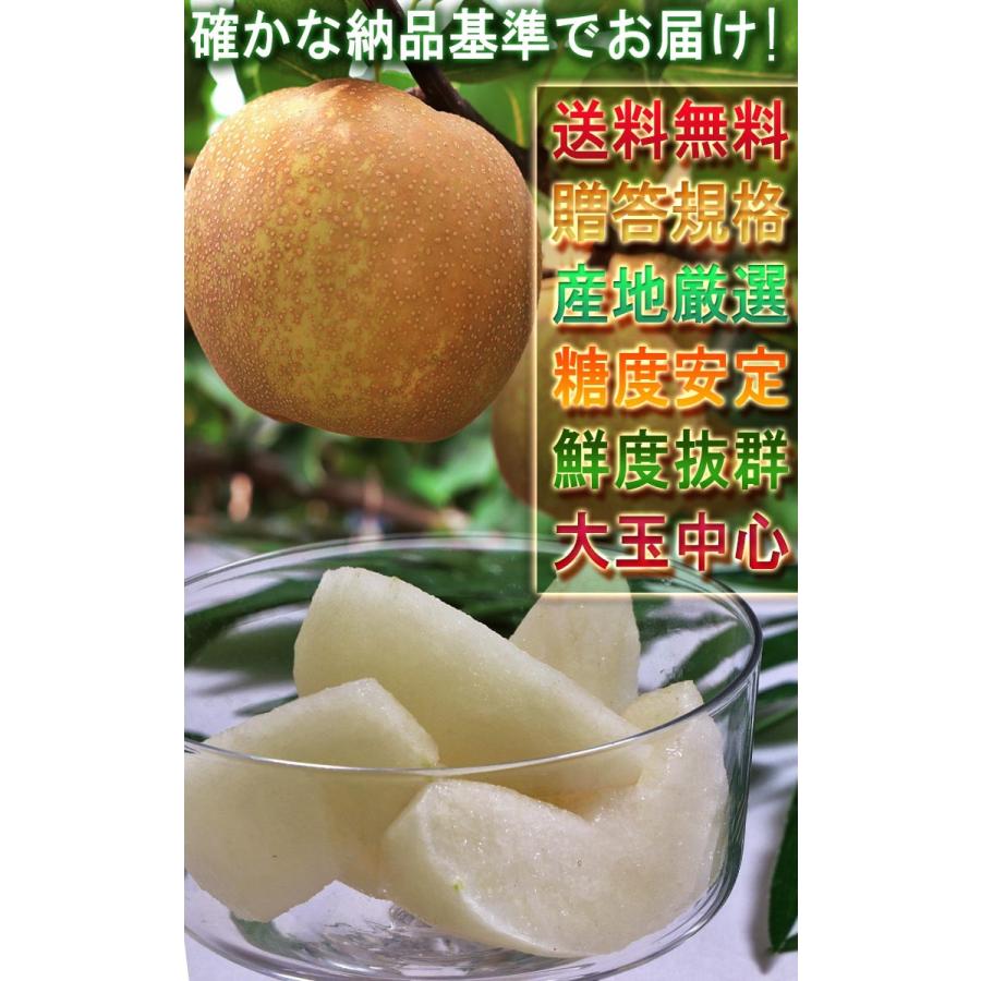 幸水 和梨 約10kg 16〜34玉 千葉県産 贈答規格 大玉中心 秀品
