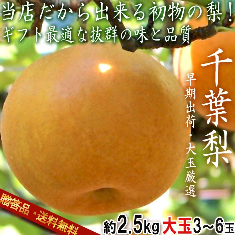 【大玉厳選・早期出荷！】千葉梨 幸水 一番果 約2.5kg 3〜6玉 千葉県産 贈答規格 和梨 秀〜優品 ナシの出荷量全国一位の千葉でも非常に希少な初物の大玉梨！