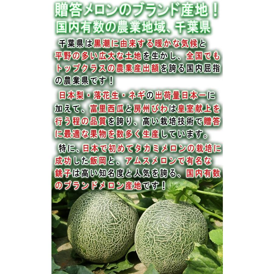 Amazon.co.jp: メロン 完熟 高級 徳秀A ※フルーツマイスター監修