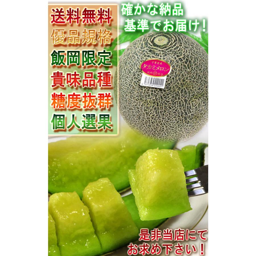 貴味メロン 飯岡・横芝産 約5〜6kg 3〜6玉 千葉県産 国内屈指の