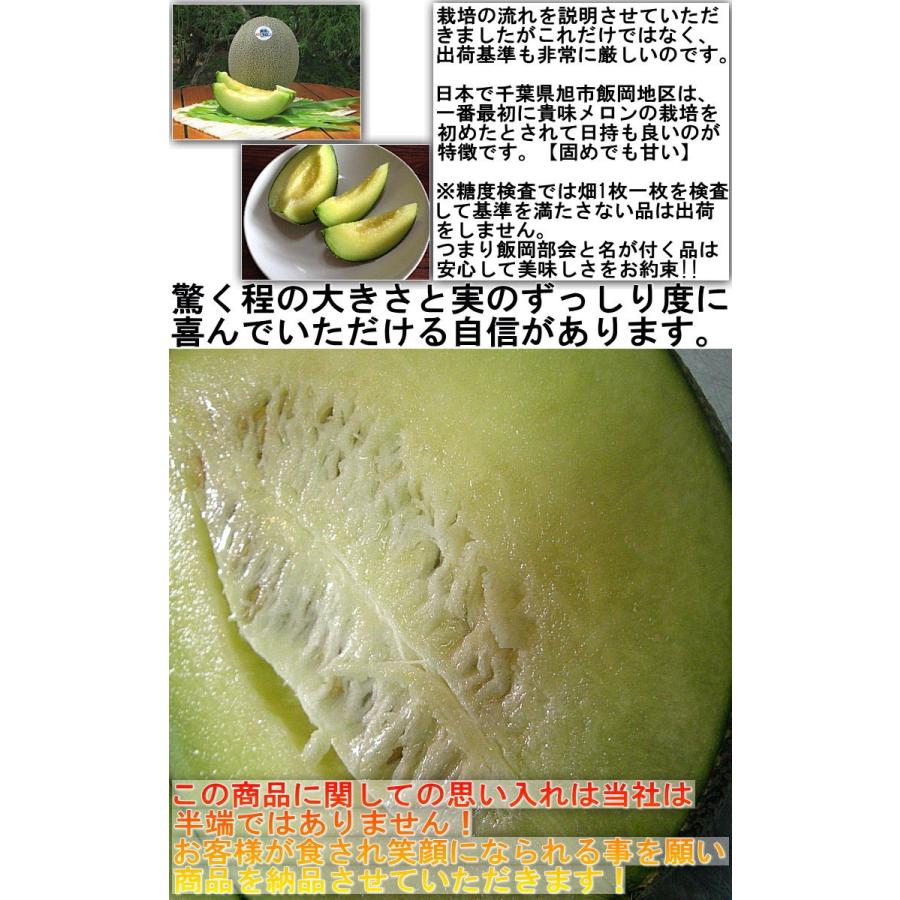 飯岡メロン 青肉タカミメロン 約3kg 2玉入り 千葉県産 大玉限定 贈答品
