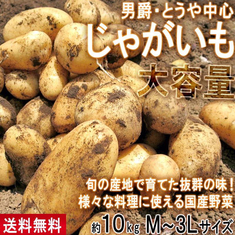 【ricca】北海道産じゃがいも（とうや）3Lサイズ　60kg じゃがいも 男爵・とうや中心 約10kg M〜3Lサイズ 千葉・茨城産等 大