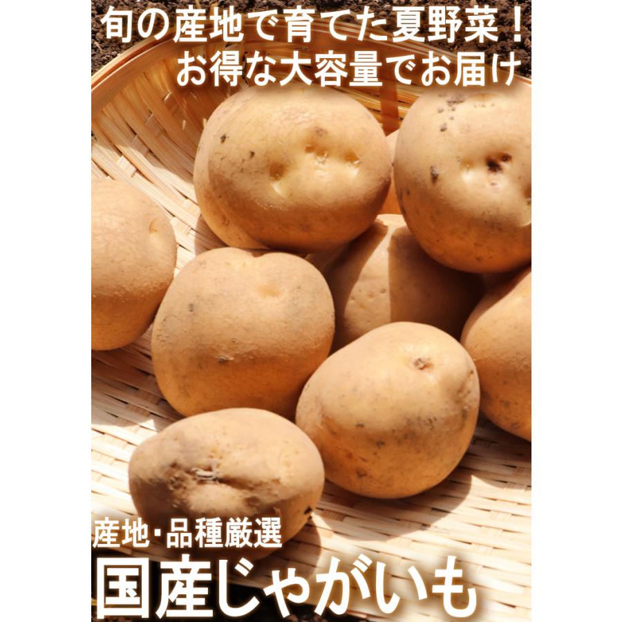 じゃがいも 男爵・とうや中心 約5kg M〜3Lサイズ 千葉・茨城産等 大