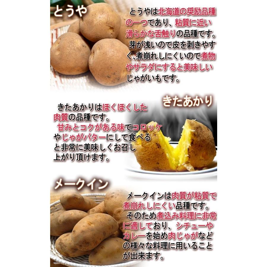じゃがいも 男爵・とうや中心 約10kg M〜3Lサイズ 千葉・茨城産等 大