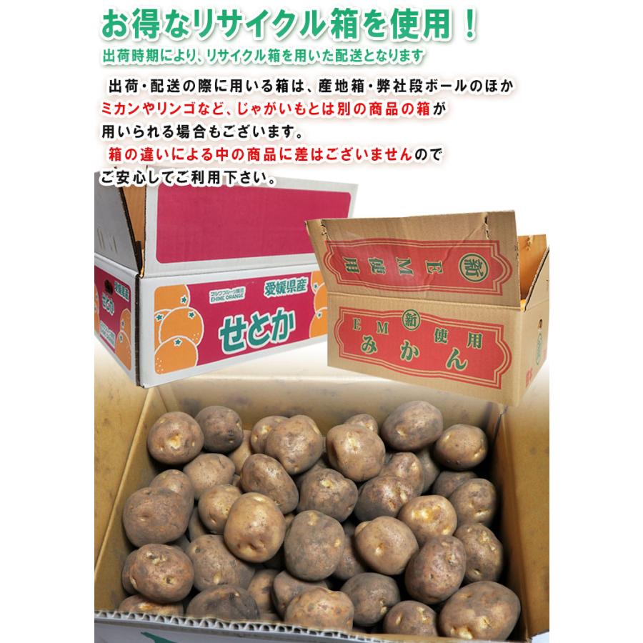 じゃがいも 男爵・とうや中心 約10kg M〜3Lサイズ 千葉・茨城産等 大