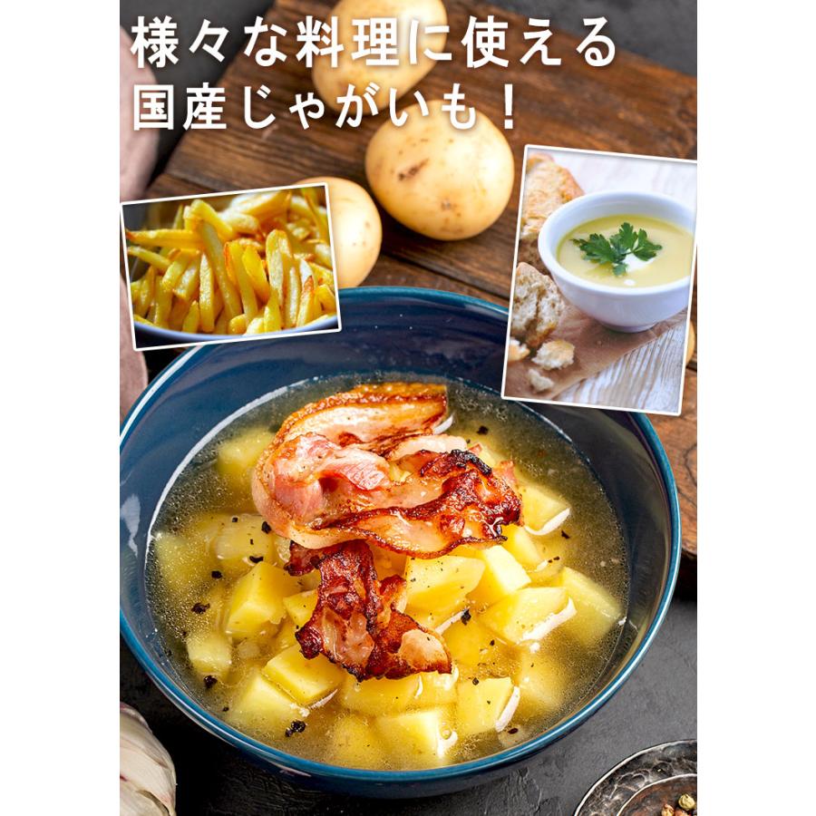 じゃがいも 男爵・とうや中心 約10kg M〜3Lサイズ 千葉・茨城産等 大