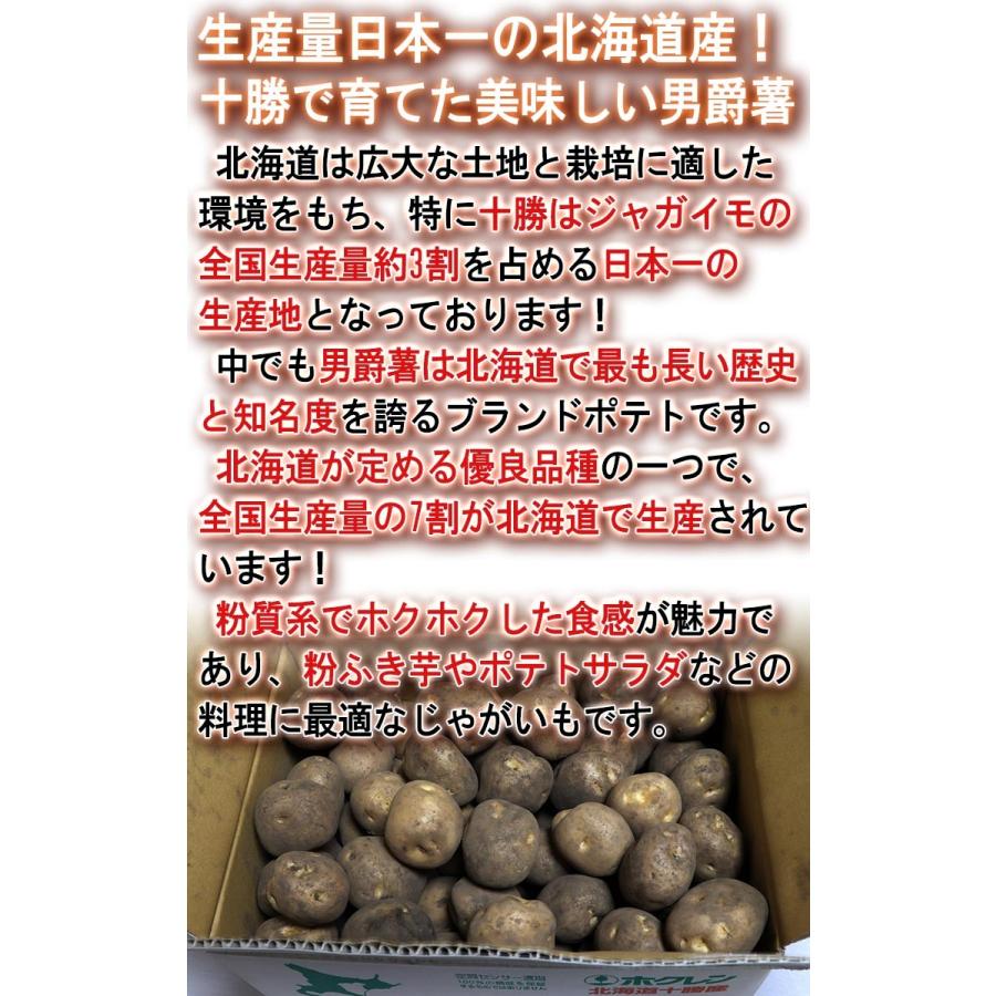 厳選国産じゃがいも 約10kg M〜Lサイズ 訳あり 国産  日本全国より旬のジャガイモをお届け！ ポテト｜wamers｜04