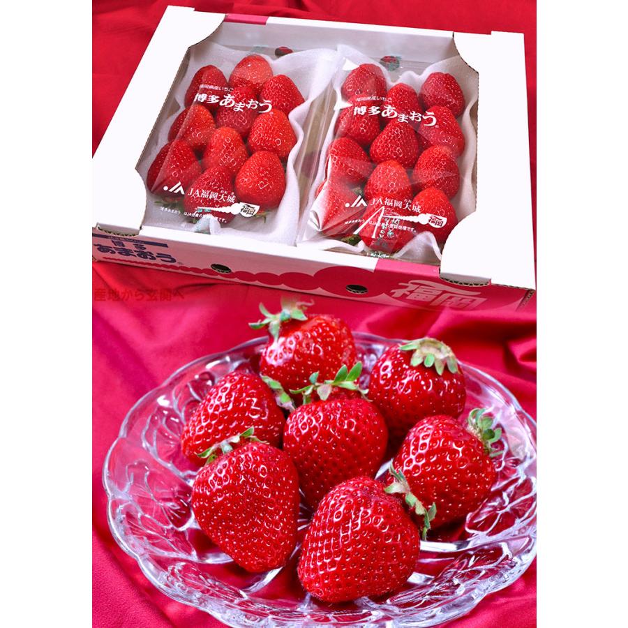 あまおう いちご 約280g×2パック 福岡県産 デラックス〜グランデ あまおう いちご 約280g×2パック 福岡県産 デラックス〜グランデ