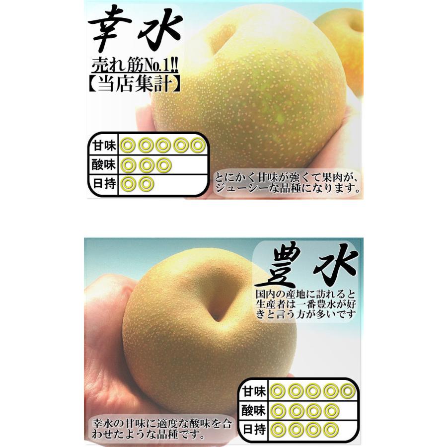 プレミアム 完熟梨 千葉県産 約3kg 3〜6玉 手詰め 贈答規格 幸水・豊水
