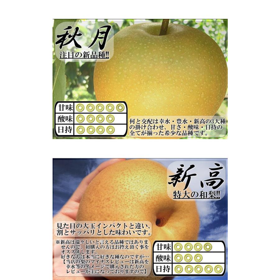 ⑥千葉県産 大〜特大サイズ 幸水梨 ⑥千葉県産 大〜特大サイズ 幸水梨 オフィシャルサイト