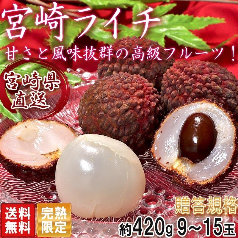 産地直送 宮崎ライチ 完熟生ライチ 約420g 9〜15玉 宮崎県産