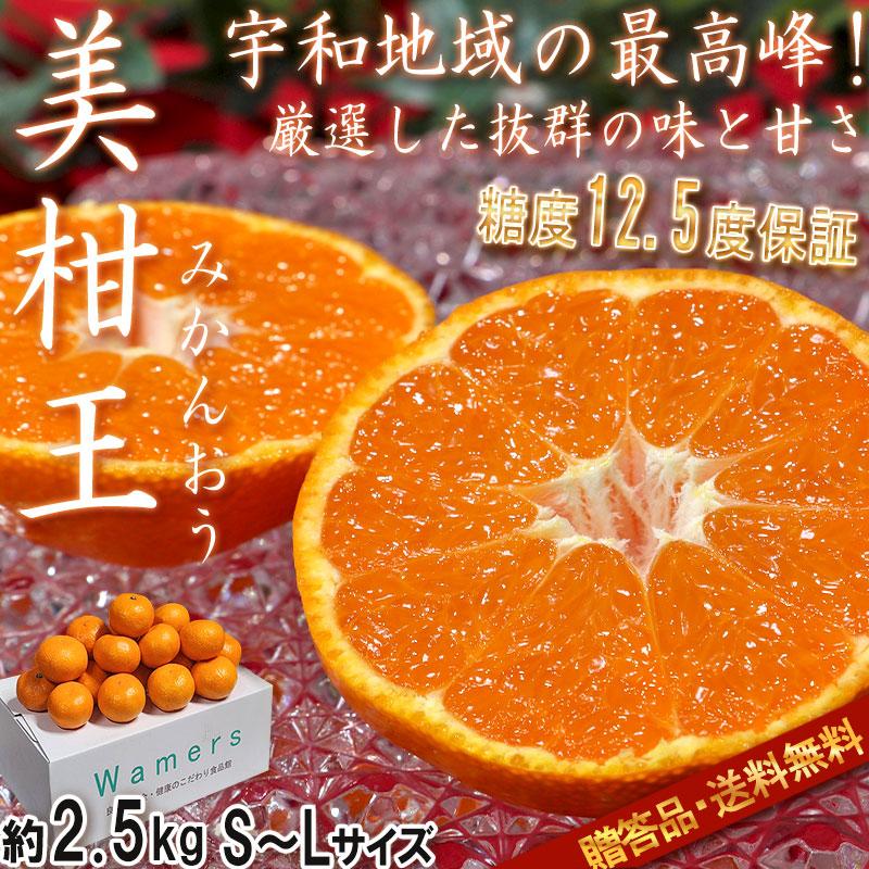 美柑王 みかんおう 高糖度ミカン 約2.5kg S〜Lサイズ 贈答規格 愛ある