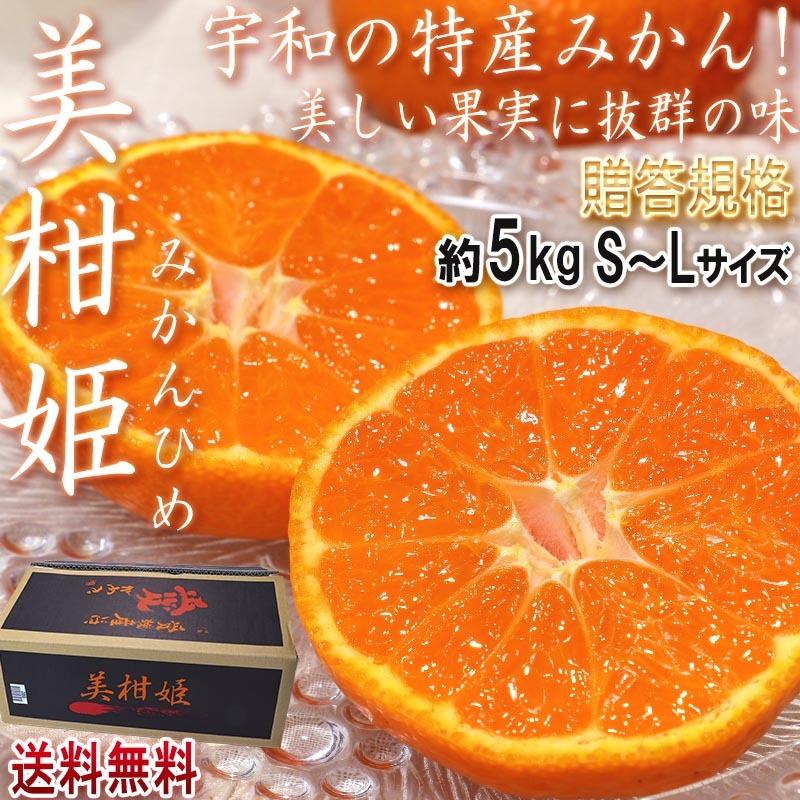 美柑姫 みかんひめ 宇和ミカン 約5kg S〜Lサイズ 贈答規格 美しい果実