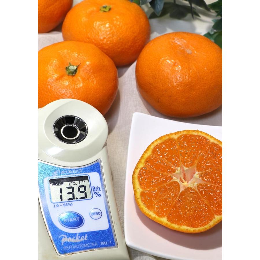 美柑姫 みかんひめ 宇和ミカン 約5kg S〜Lサイズ 贈答規格 美しい果実