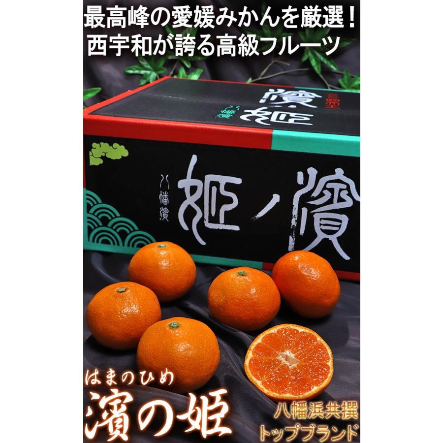 濱ノ姫 みかん 愛媛 プレミアム 約5kg 贈答規格・特秀品限定 JAにし