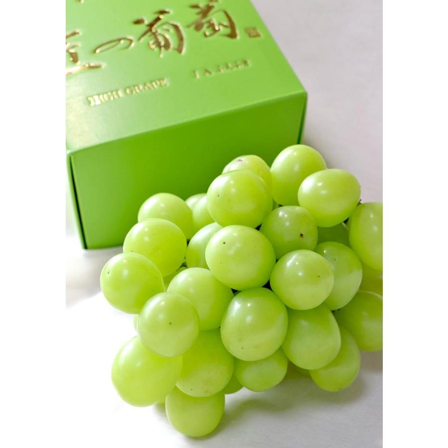 匠の葡萄 特大 厳選シャインマスカット 約600〜800g 1房入り 山梨県産