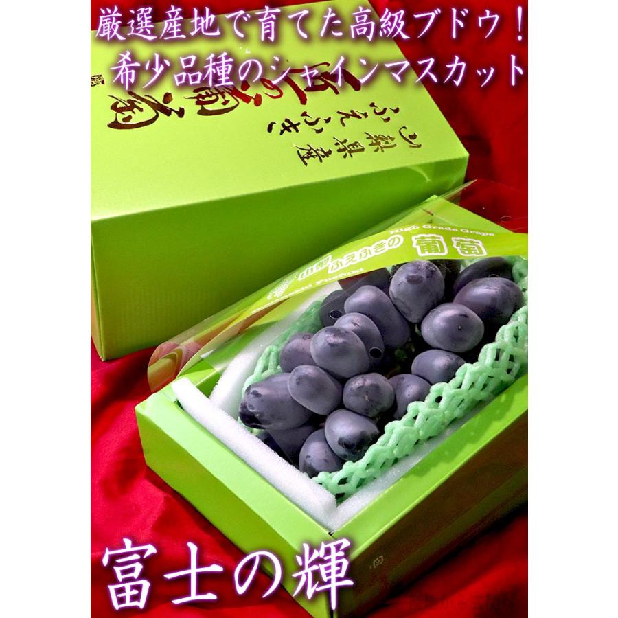 富士の輝 ブラックシャインマスカット 匠の葡萄 約750g 1房入り 山梨県