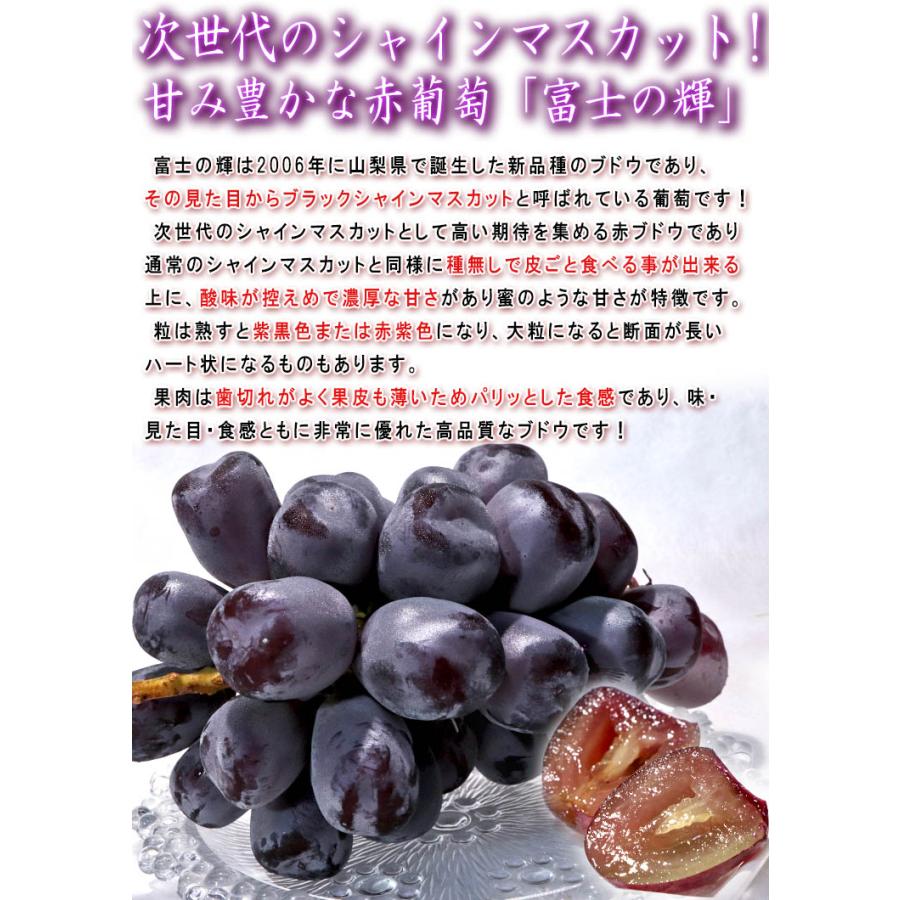 富士の輝 ブラックシャインマスカット 葡萄 約800g〜1kg 2房入り 富士の輝 ブラックシャインマスカット 葡萄 約800g〜1kg 2房入り