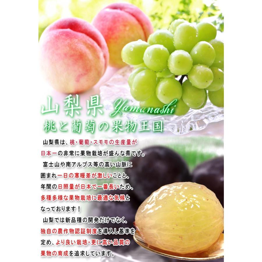 富士の輝 ブラックシャインマスカット 葡萄 約1.2〜1.5kg 2房入り 山梨