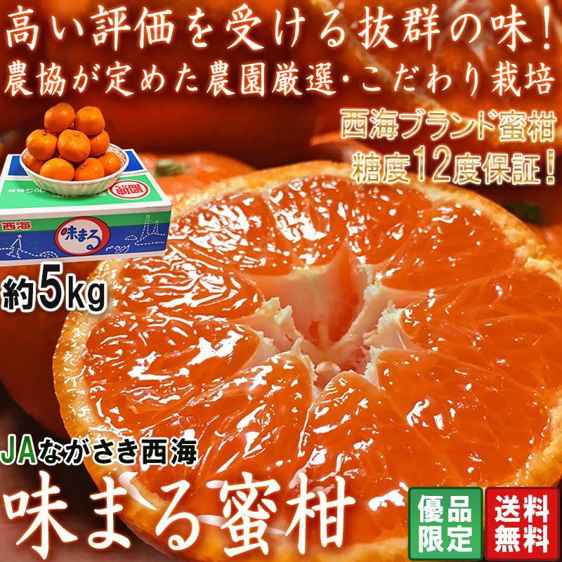 味まる蜜柑 約5kg 長崎県産 優品限定 JAながさき西海 光センサー選果で