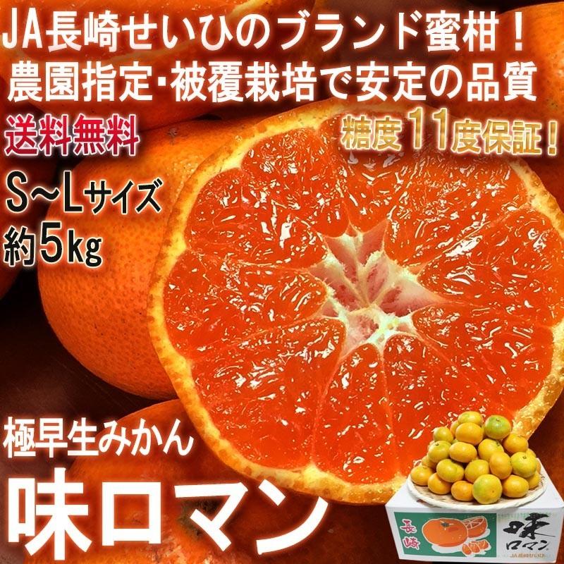 味ロマン 極早生みかん 約5kg S〜Lサイズ 長崎県産 糖度11度保証 JA