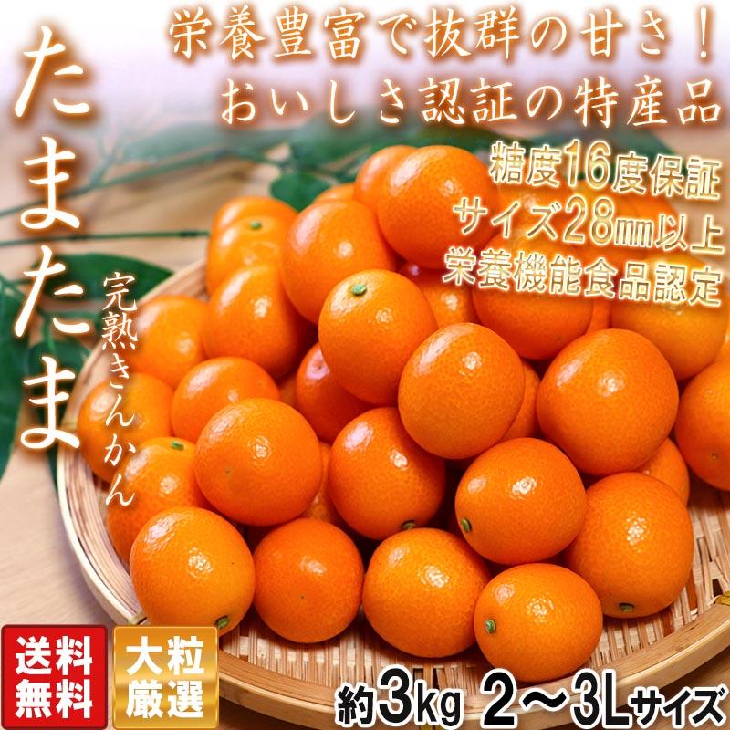 宮崎県産　ロジ金柑　箱込10キロ　2Lサイズ　b 訳あり それでも みかん 箱込 10kg ( 内容量 9.2kg ) サイズミックス B