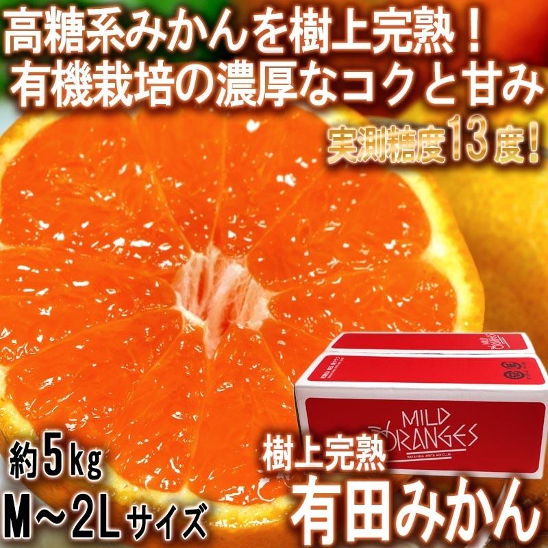 和歌山県有田産　平均糖度15度越え❗小玉みかん　2kg×3箱　みかんキング 和歌山県有田産 平均糖度15度越え❗宮川早生 2kg みかんキング 数量
