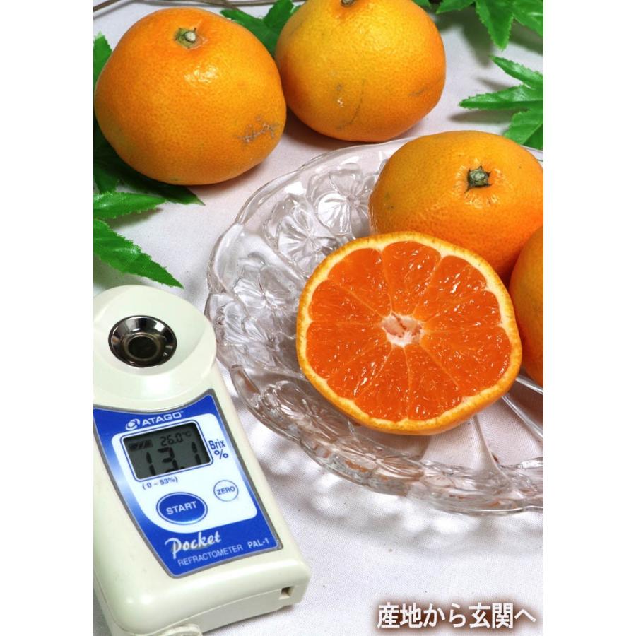 樹熟有田みかん 約5kg M〜2Lサイズ 和歌山県産 葵クラブ生産 新品種の