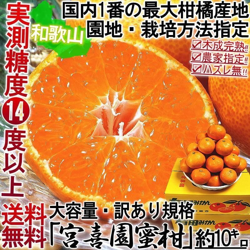 販売済み 今1番うまい‼️きたーー‼️SP超高糖度！真穴みかん赤秀SS激