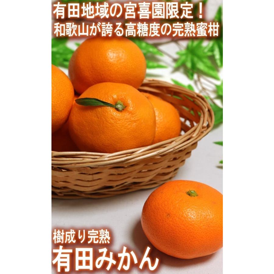 ❤︎小玉❤︎人気No.1 有田みかん10kg SSサイズ★【木なり完熟】 楽天市場】【小玉みかん】有田みかん 3S〜2Sサイズ 和歌山県産 送料