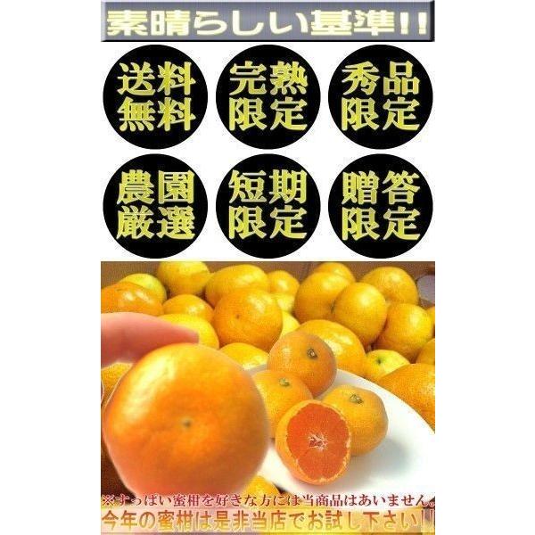 10キロ　木成り完熟　特選わけあり有田みかん 超 訳あり 有田みかん 和歌山 10kg 送料無料 数量限定 早生 温州みかん