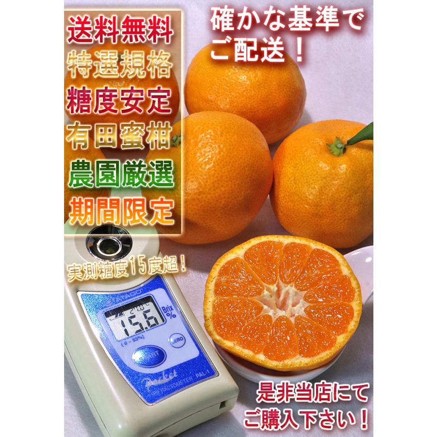 宮原みかん 樹成り完熟有田ミカン 滝川園限定 約5kg S〜2Lサイズ 贈答