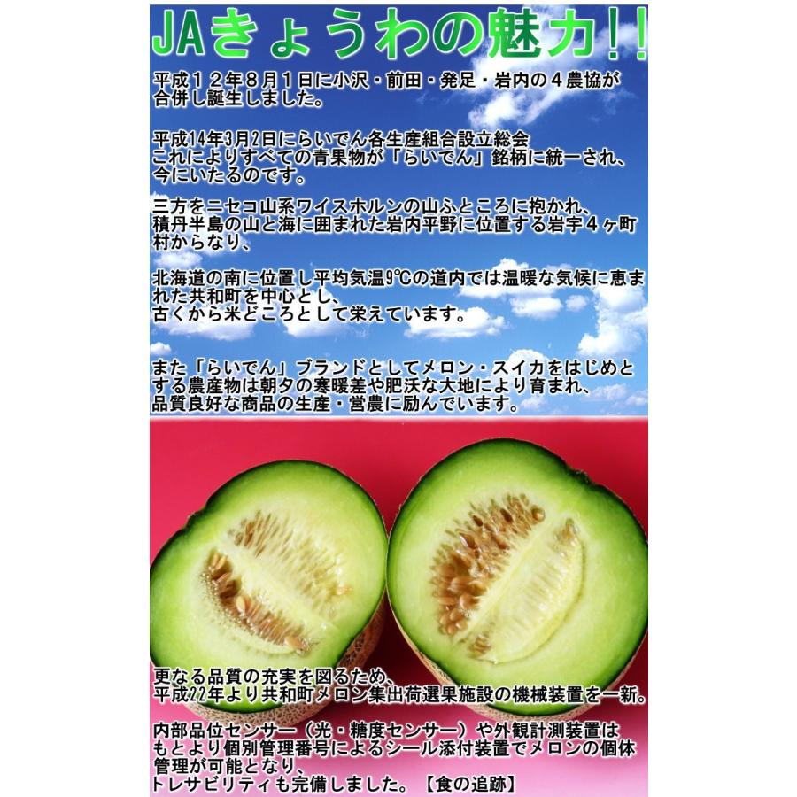 らいでんクラウン 青肉メロン 約8kg 4〜6玉 贈答規格 北海道産 大玉
