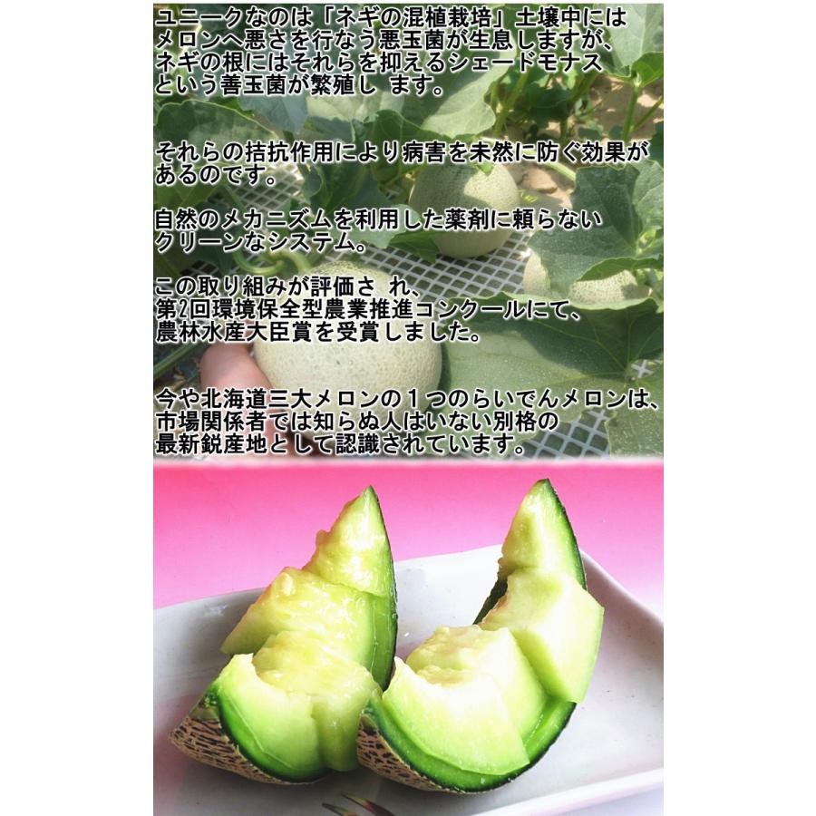 らいでんクラウン 青肉メロン 約8kg 4〜6玉 贈答規格 北海道産 大玉