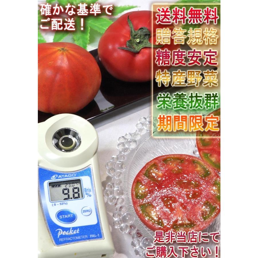 スーパーフルーツトマト 約1kg 8〜16玉前後 茨城県が誇るブランド野菜！トマトらしい濃厚な味と甘さが魅力のフルーツトマト｜wamers｜08